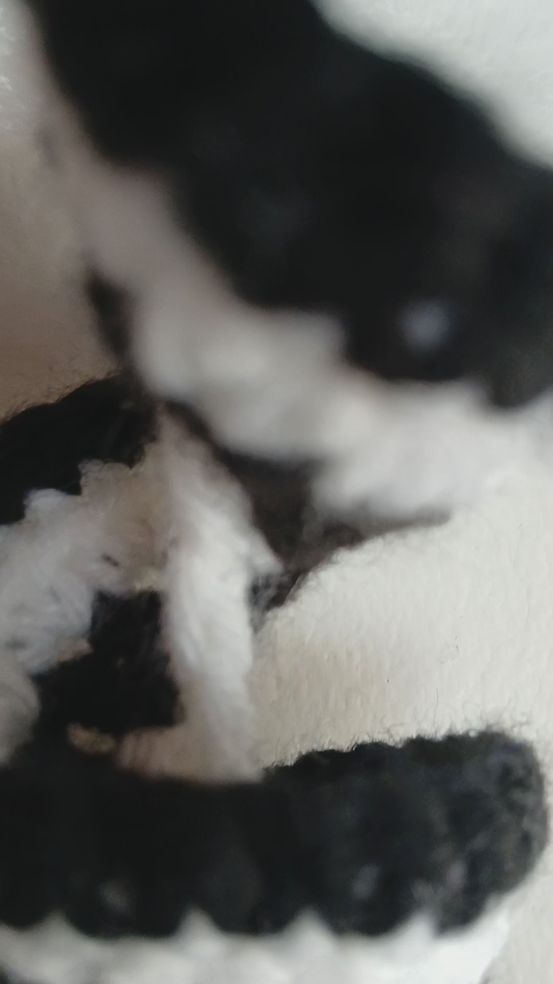 Black and White Wind Spinner